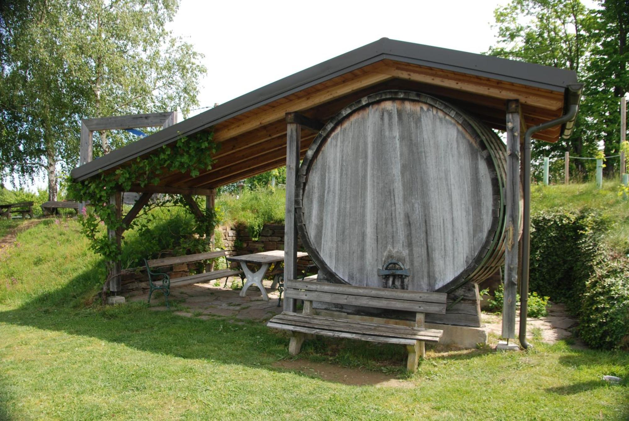 Naturpark-.Weinbergferienhaus 绍萨尔地区基策克 外观 照片