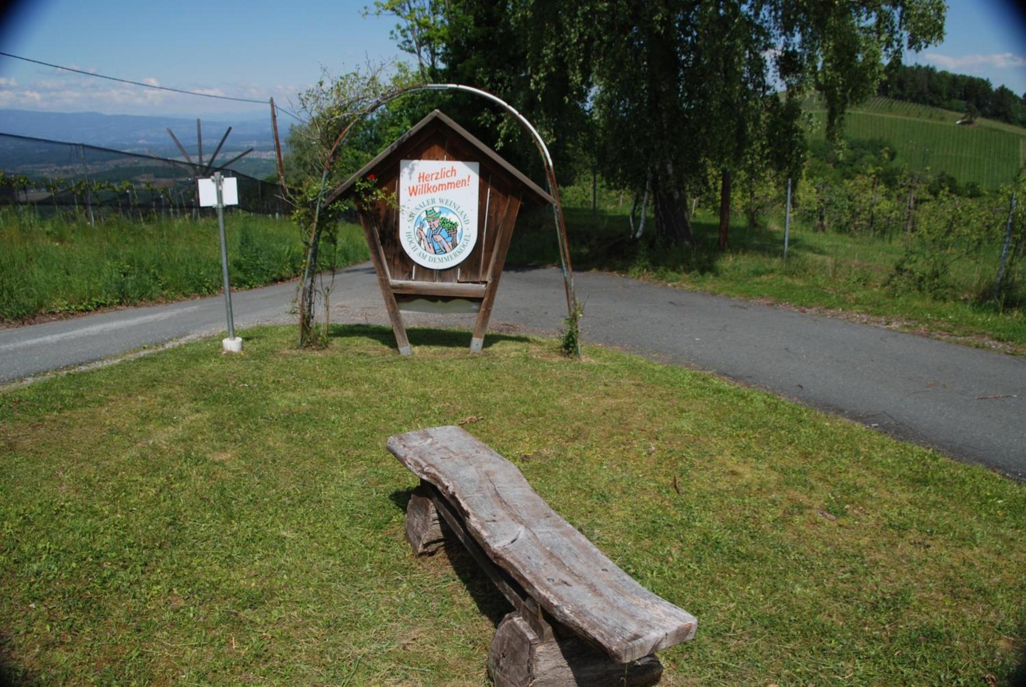 Naturpark-.Weinbergferienhaus 绍萨尔地区基策克 外观 照片