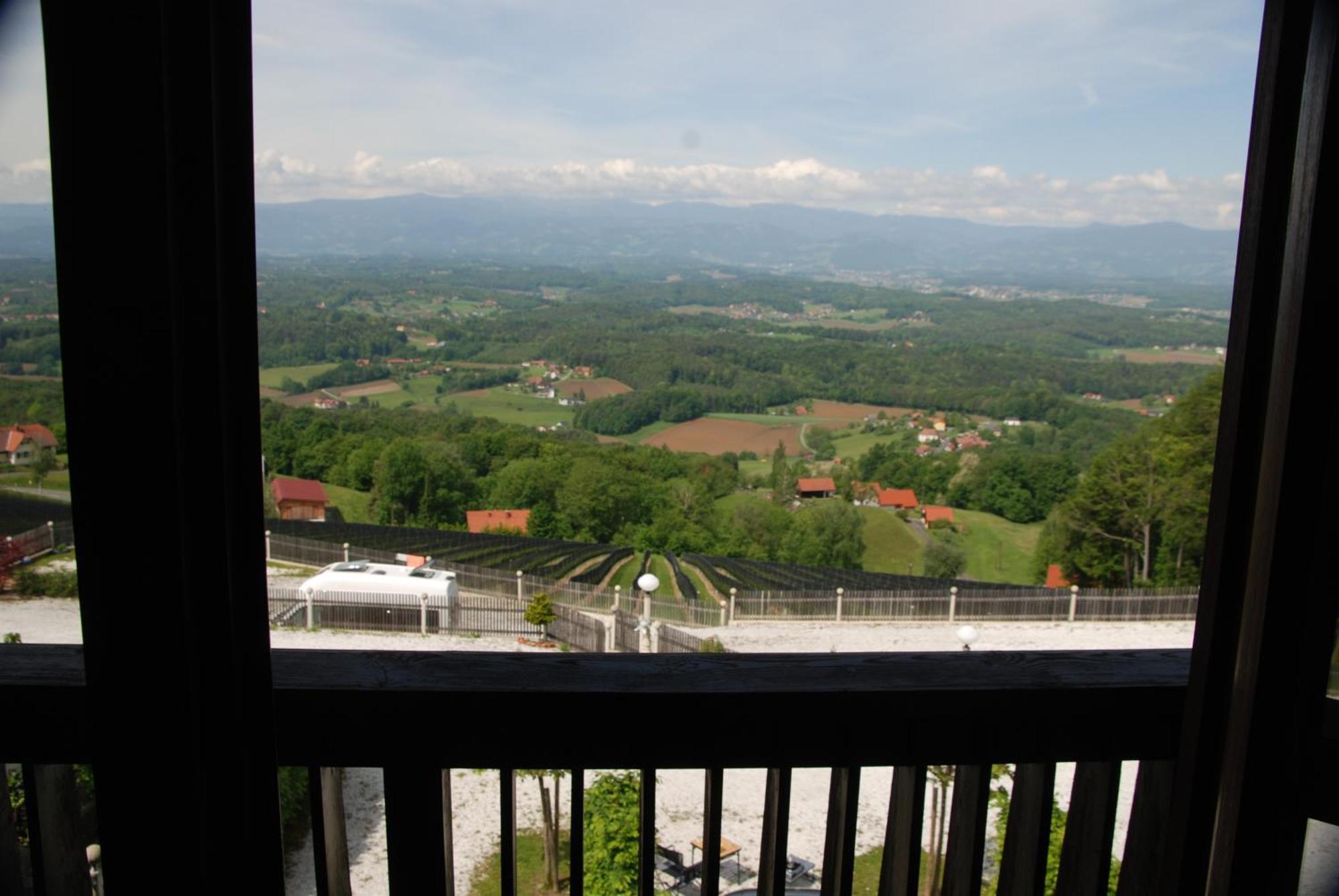 Naturpark-.Weinbergferienhaus 绍萨尔地区基策克 外观 照片